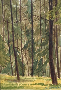 Hans Kern, Forest View