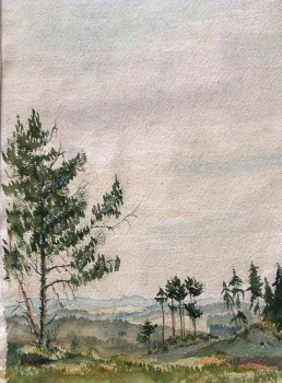 Hans Kern, Panorama mit Wald