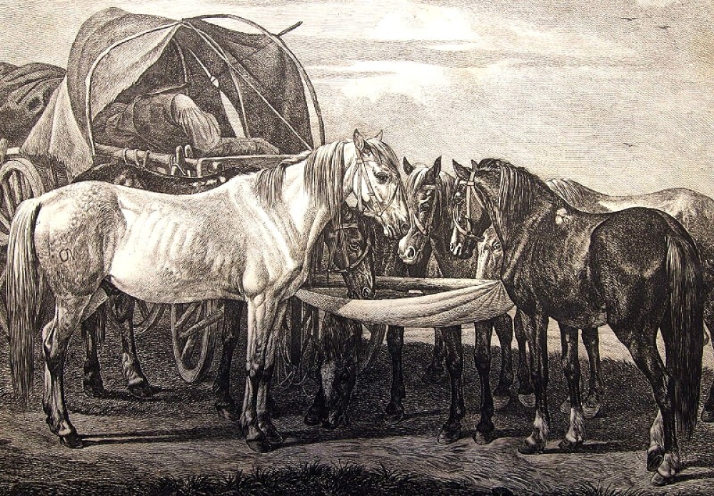 Johann Adam Klein, Fütterung der Pferde während einer Rast