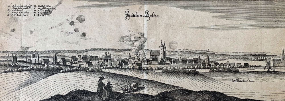 Matthäus Merian, Stättlein Saltza