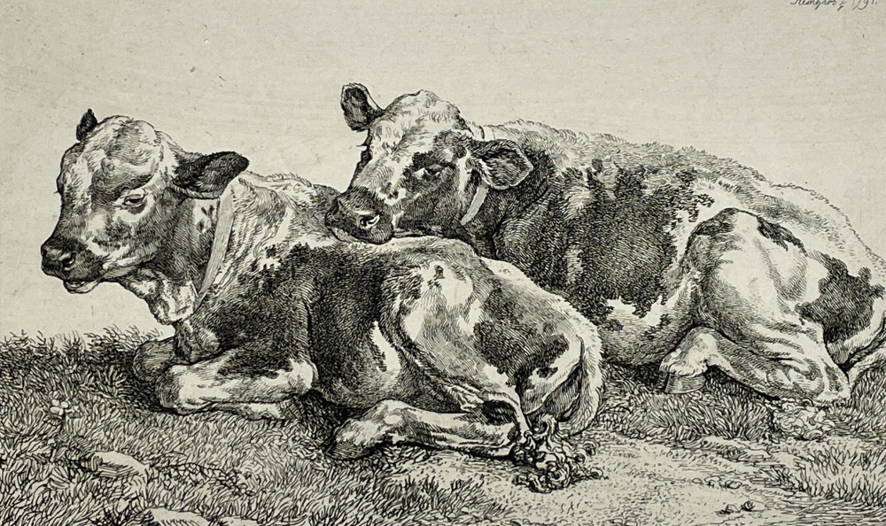 Johann Christian Reinhart, Two cows in the meadow