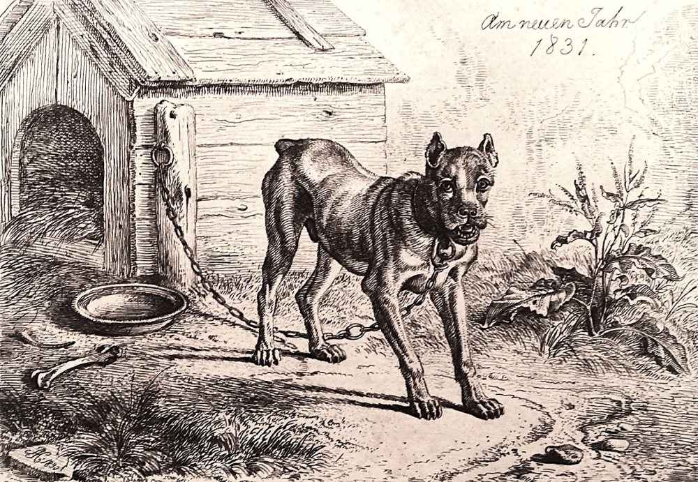 Johann Adam Klein, Am neuen Jahr (Der Hund und seine Hütte)