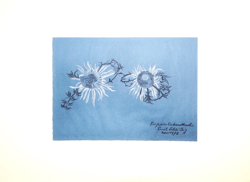 Emil Scheidig, Zwei Blumen in Blau (1972)