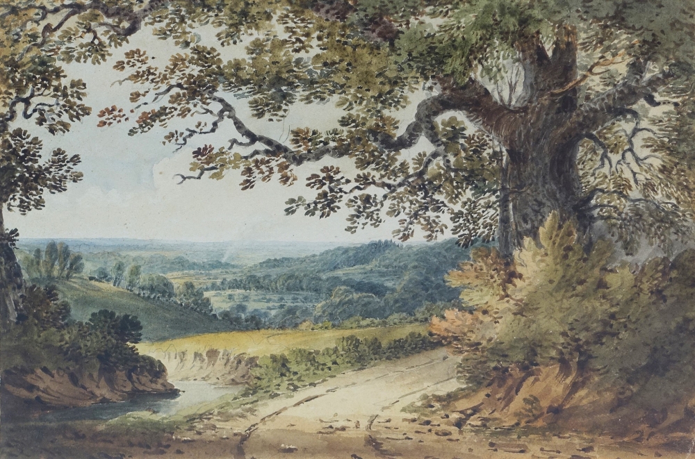 Unknown, Creek Landscape