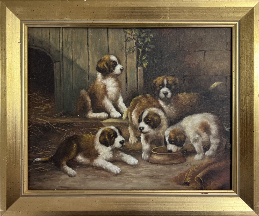 Unknown, Young Saint Bernard - Dog family