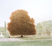 Udo Kaller, thick tree II.