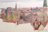 Peter Leonhardt, Nuremberg old town roofs