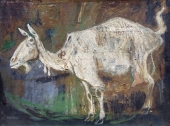 Eitel Klein, Goat