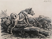 Johann Adam Klein, Der Hund und die Katze